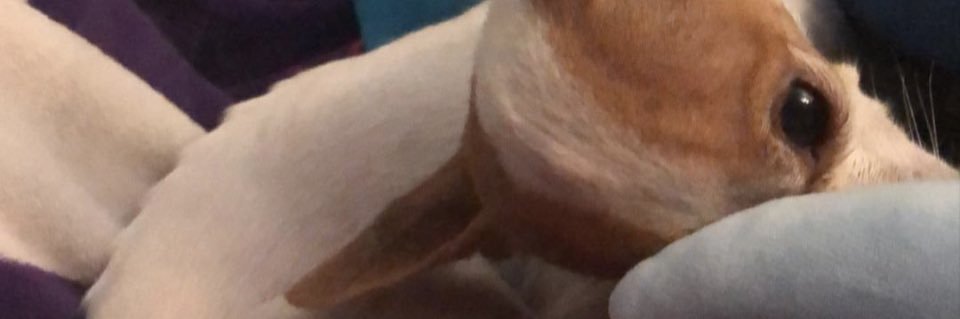 marelc97's profile banner image