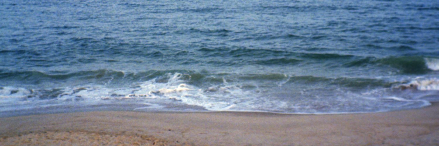 Jaclyn Fusco banner