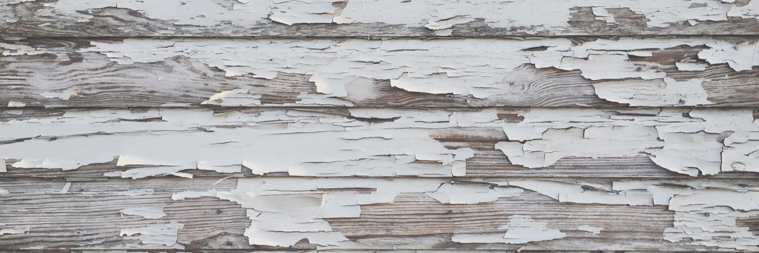 Irene Proctor banner