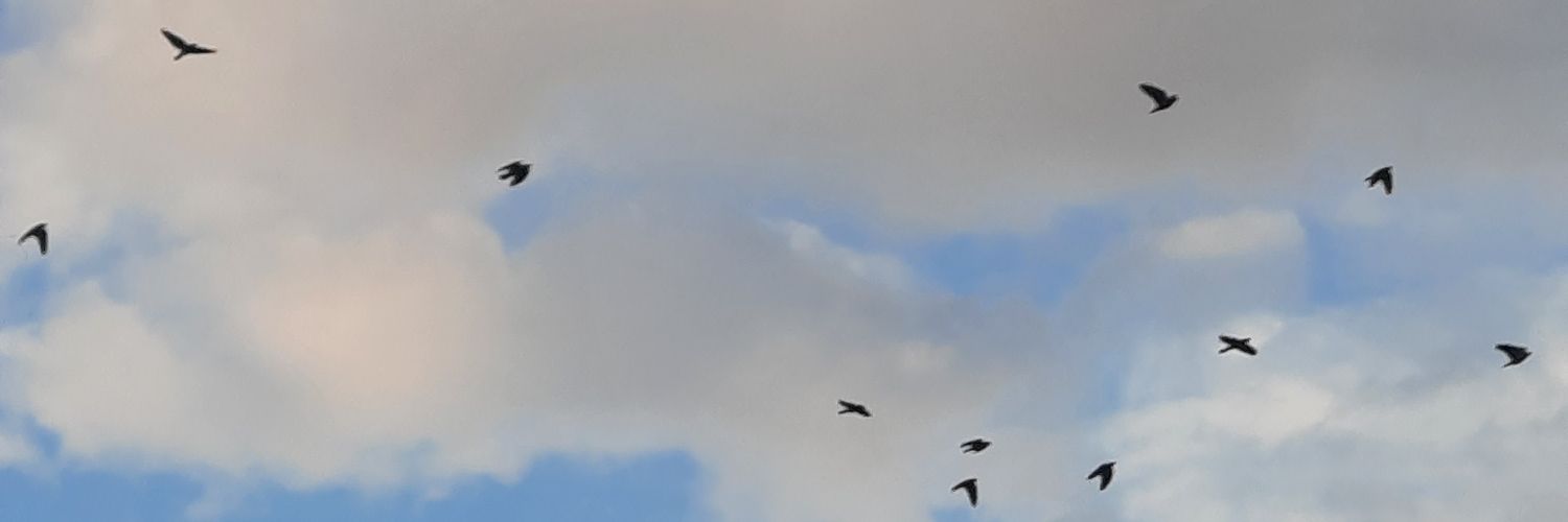 iscnhkn's profile banner image