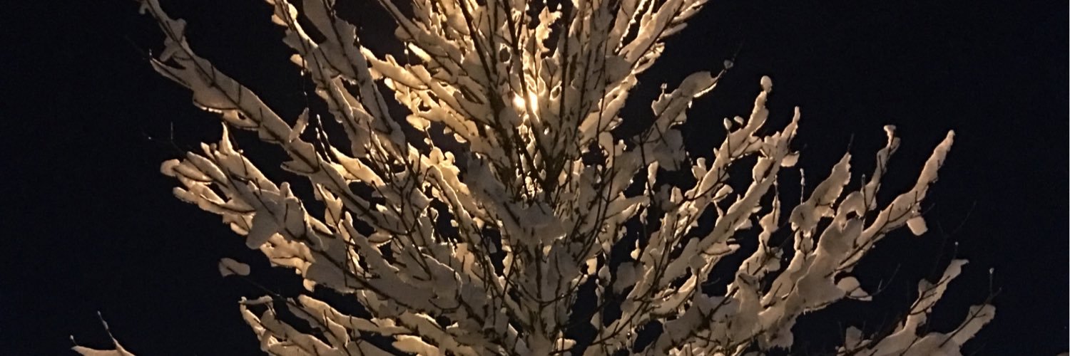stefernans's profile banner image