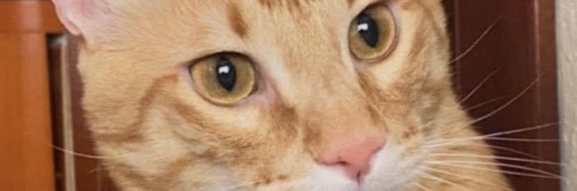 mliv99's profile banner image