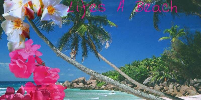 alelanda18's profile banner image
