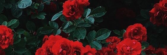 lauri_196's profile banner image