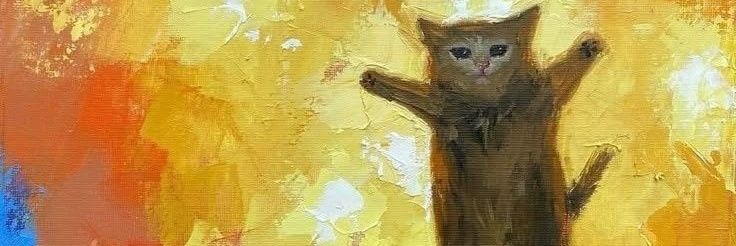 notthatcat's profile banner image