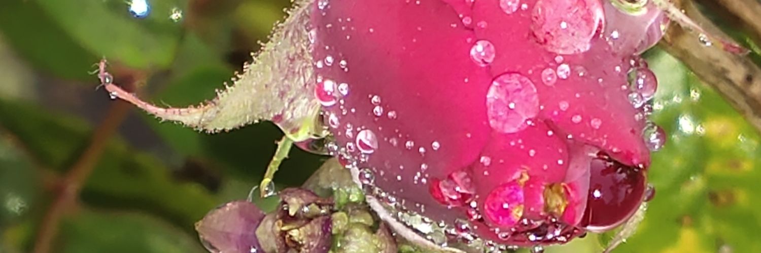 adarsh8002's profile banner image