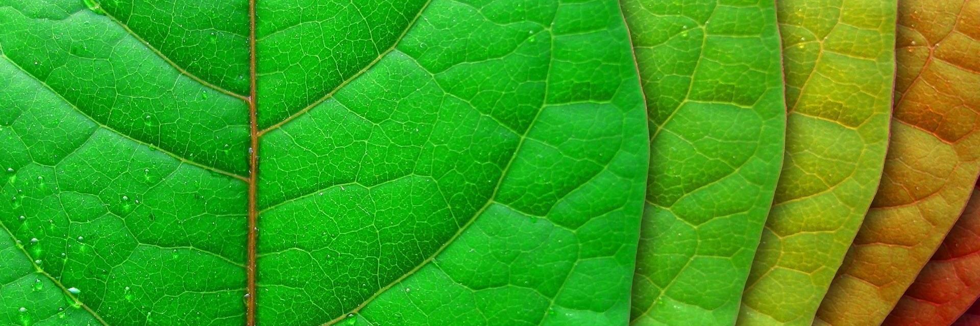 Monica_Balbas's profile banner image