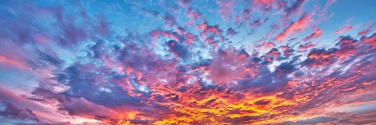 Nanci Paniagua banner