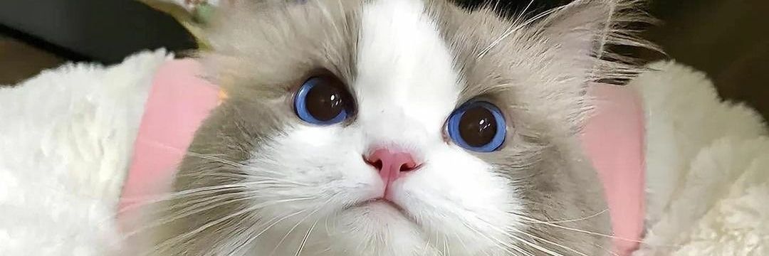 withfadhilan's profile banner image