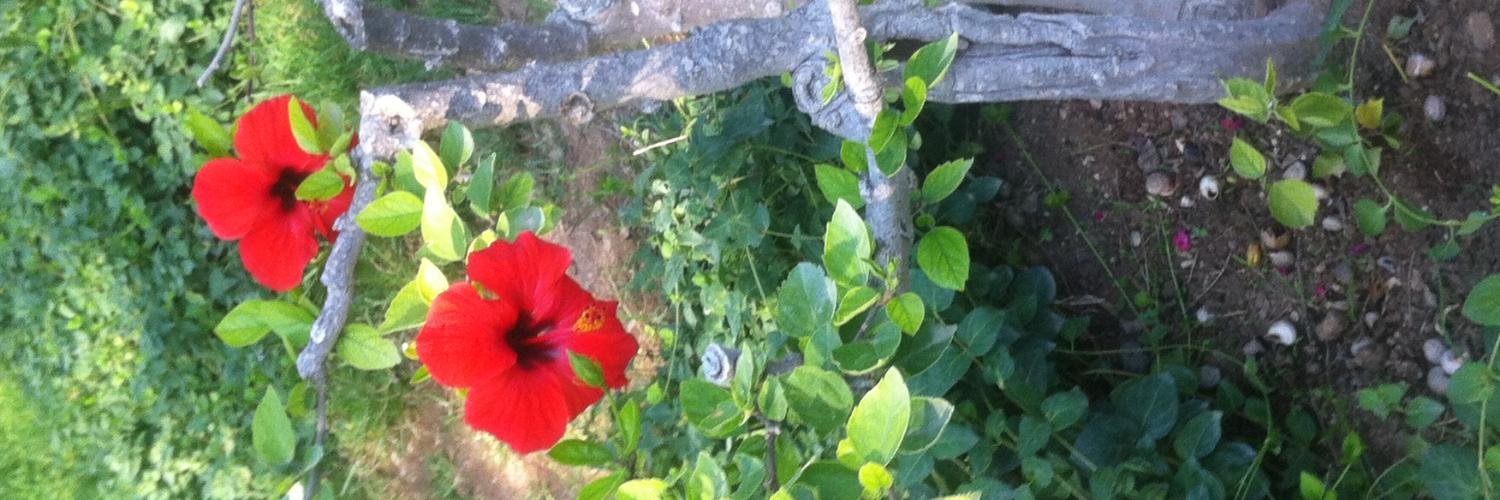 ANIYASA34's profile banner image