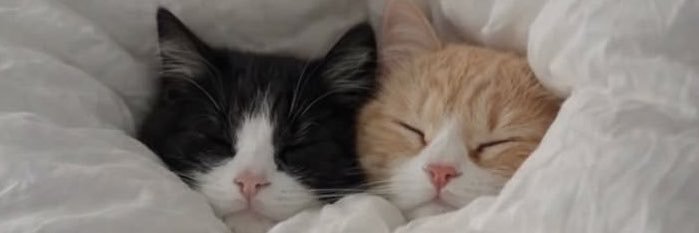 zeynepptopac's profile banner image