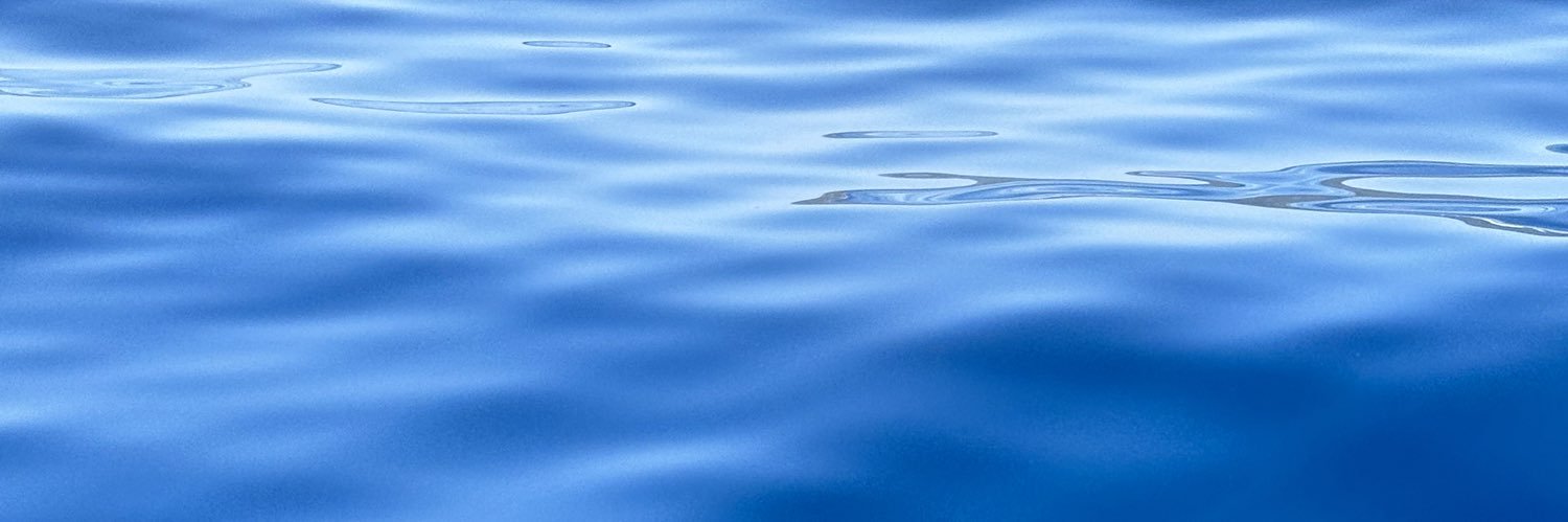 Iris banner