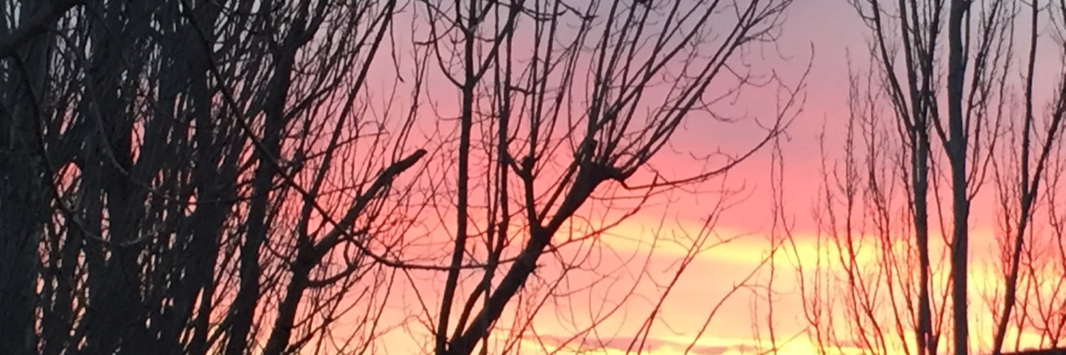 OndasRed's profile banner image