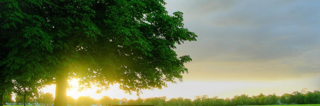 PintuBi43691874's profile banner image