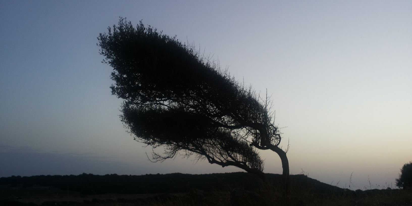 DanyLooser's profile banner image