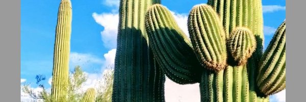 JillyWisdom Profile Banner