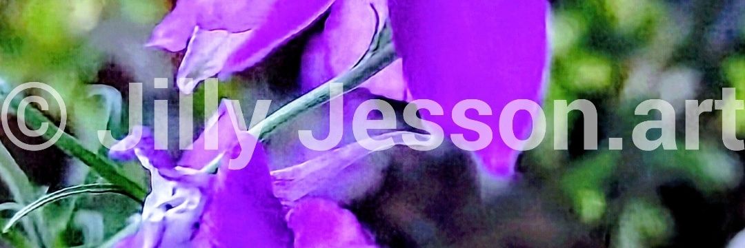 JillyWisdom's profile banner image