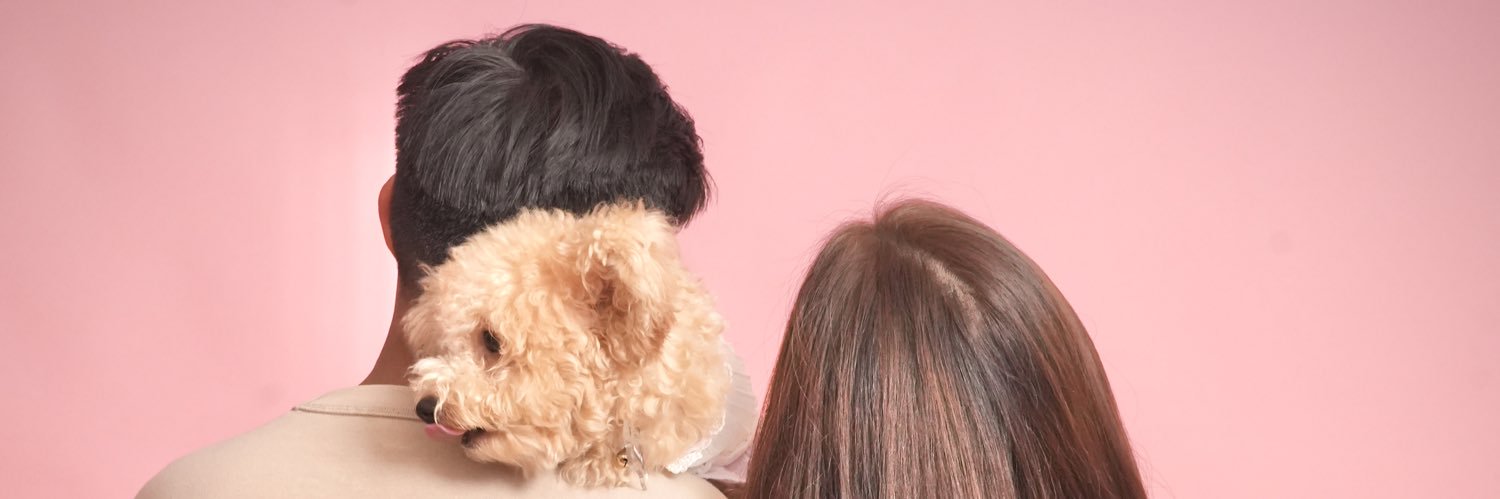JrVargasisPanda's profile banner image