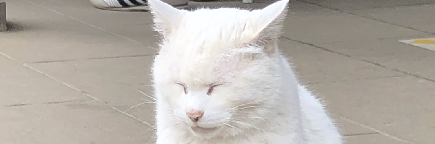 PIKEchanPI's profile banner image