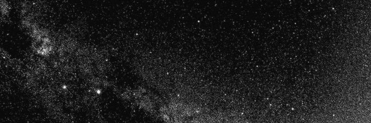 elifferten's profile banner image
