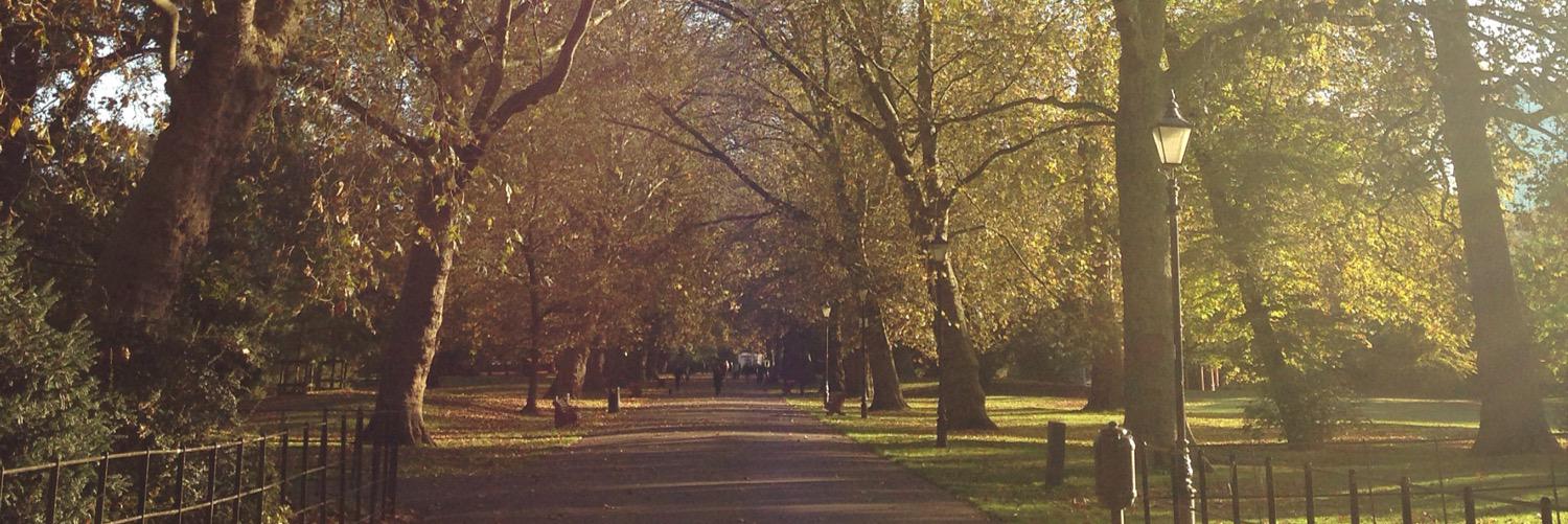 burkons's profile banner image