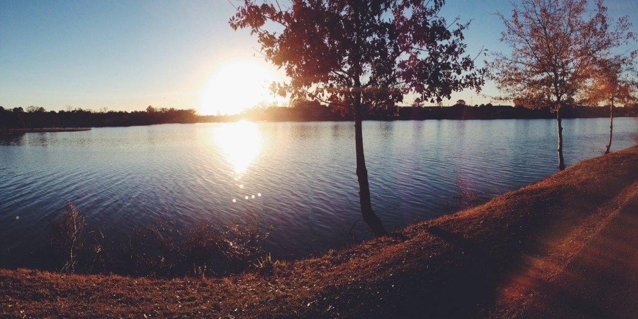 Bfrankk_'s profile banner image