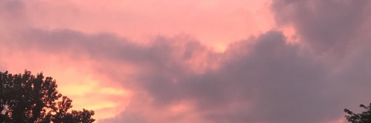 AmyMalich's profile banner image