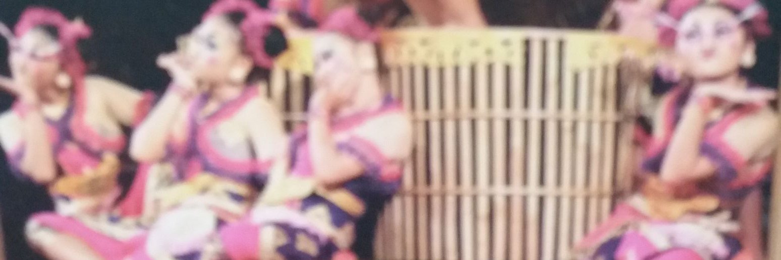 RosaWayan's profile banner image