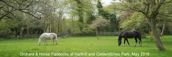 ringofparks Profile Banner