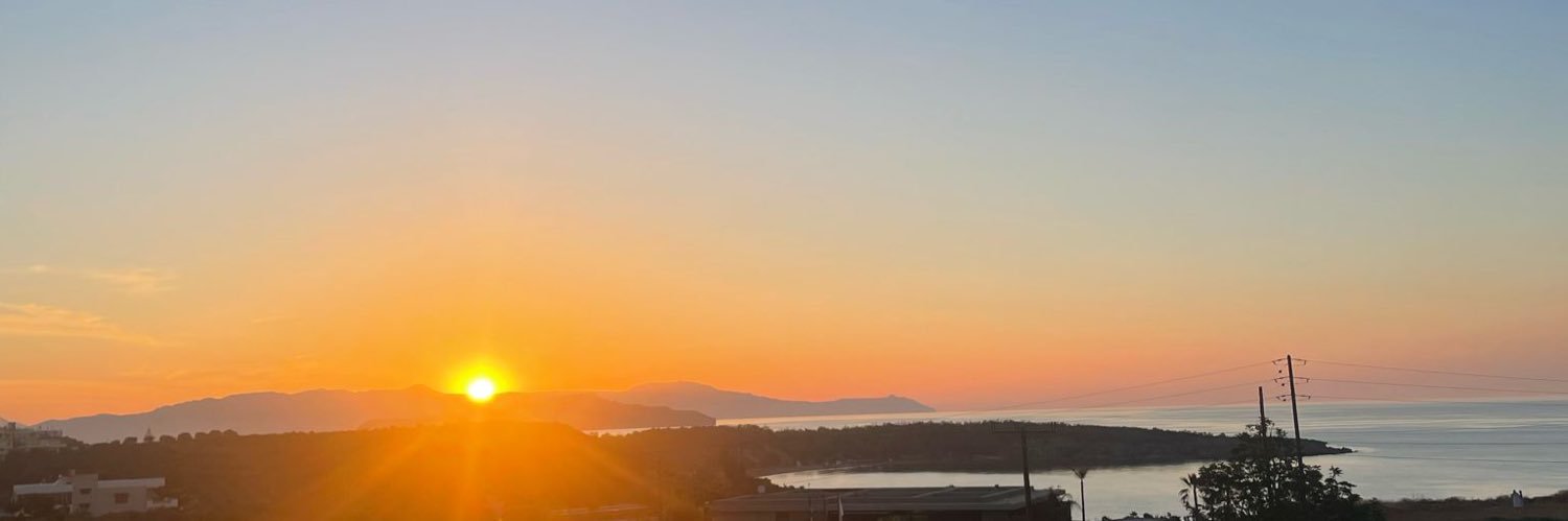 Louise Fellingham banner