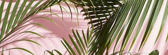 maafsolis's profile banner image