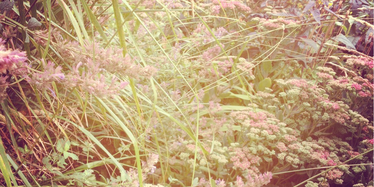 SarahThursfield's profile banner image