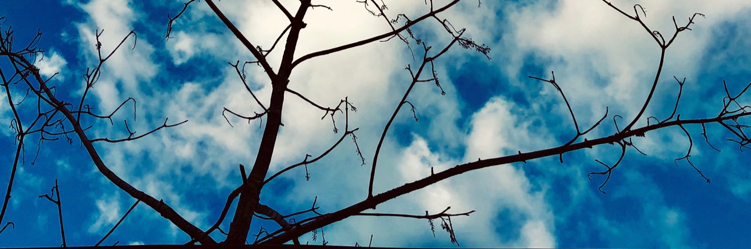 Haktas85's profile banner image
