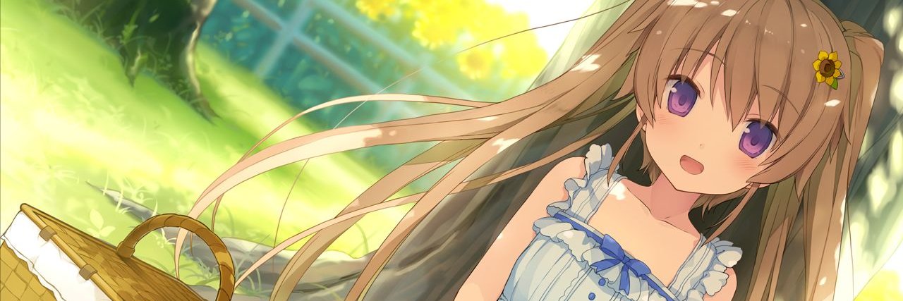 KokoTenno's profile banner image