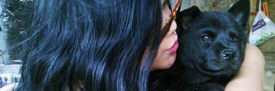 gcuriel29's profile banner image