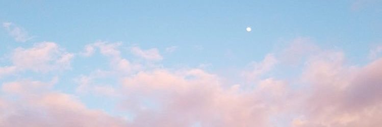 🐈 ⋆₊˚ banner