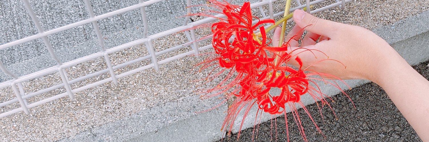 にーーーーーーーーーーーゆｯ banner