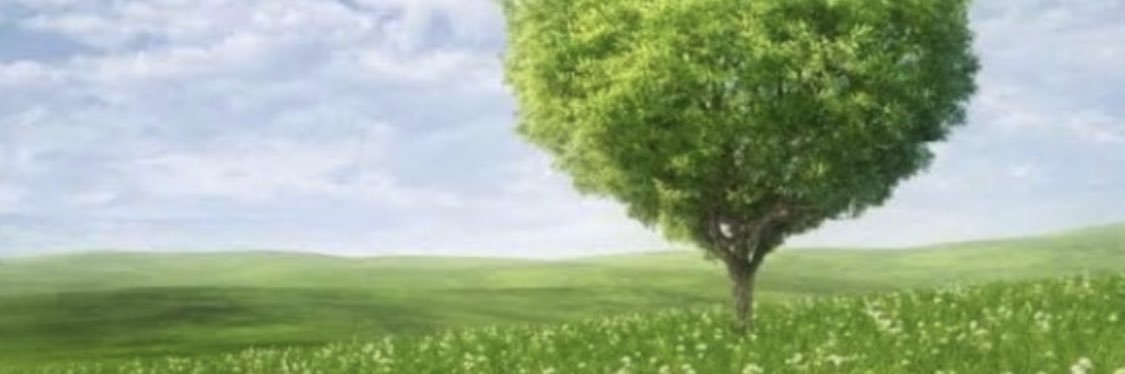 MarjoOTB's profile banner image