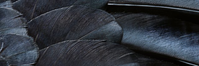 dany_hanggoro's profile banner image