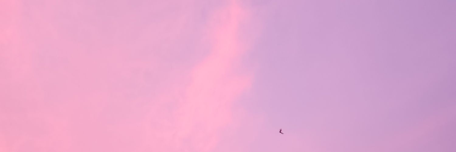 sangborja's profile banner image