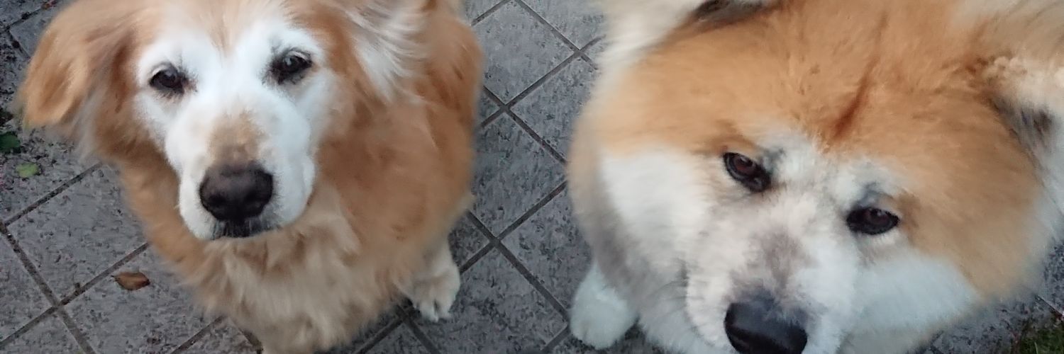 どんだぁ・宏（こう） banner