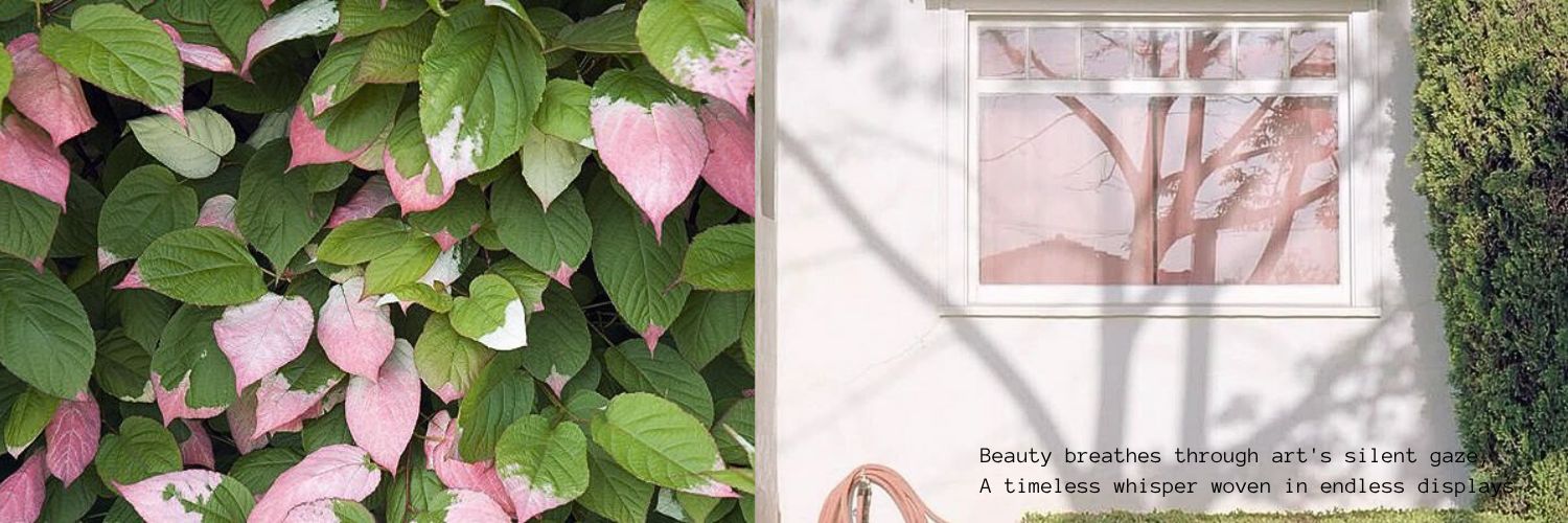 gezbuy's profile banner image