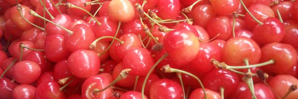 pojlf Profile Banner