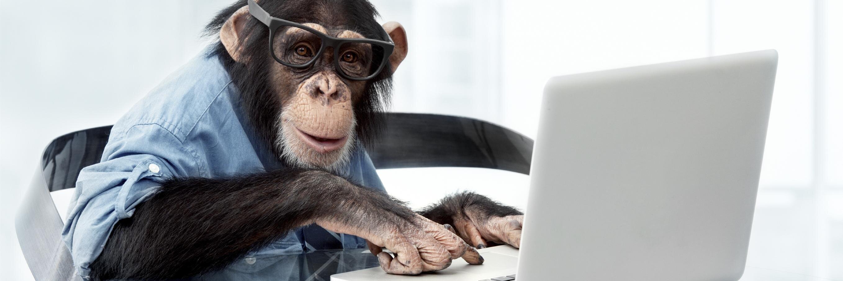 GibbonTake's profile banner image