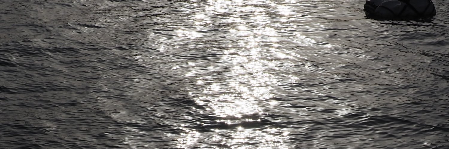gntmhch's profile banner image