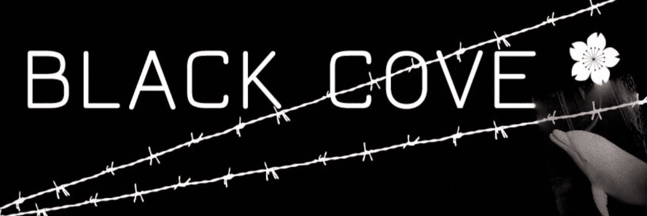 BlackCove banner