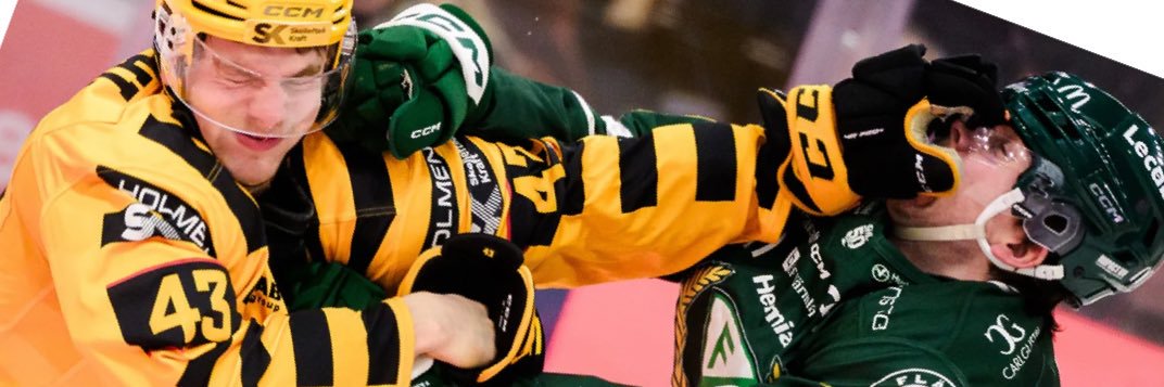 Emil W banner