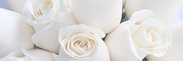 untary_'s profile banner image