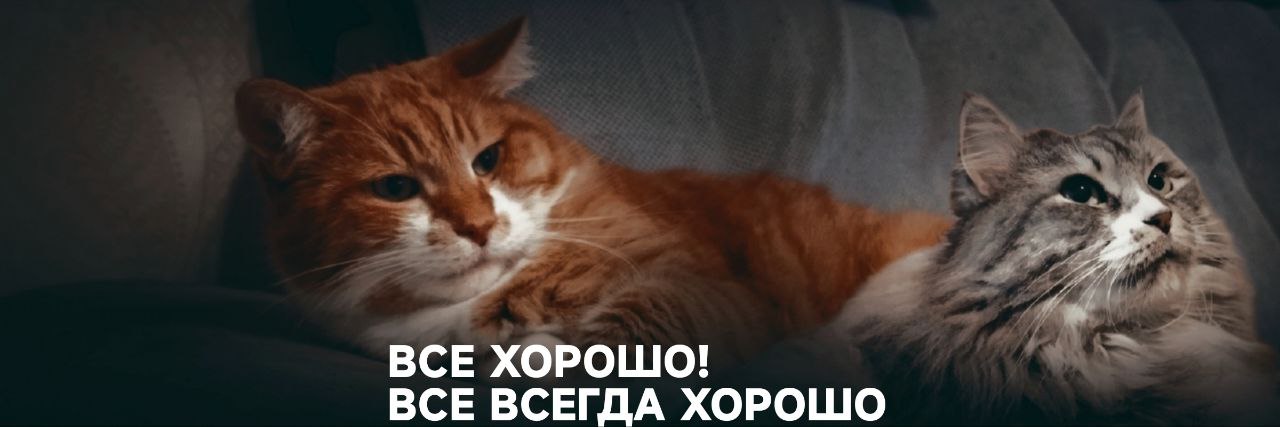 Марина Танасейчук banner