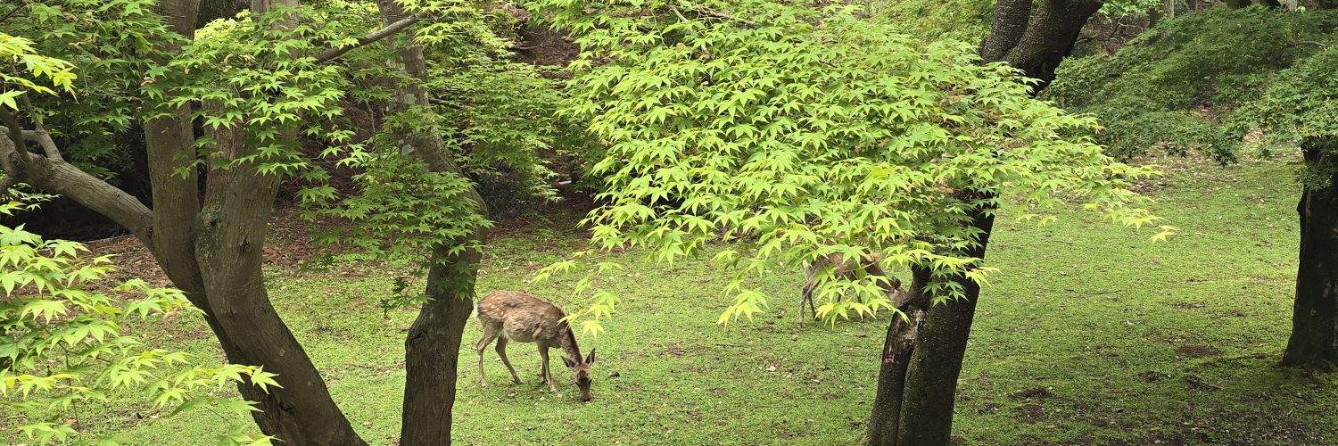 M.Pilar Cabrerizo.🌍Viatges 2.0 banner